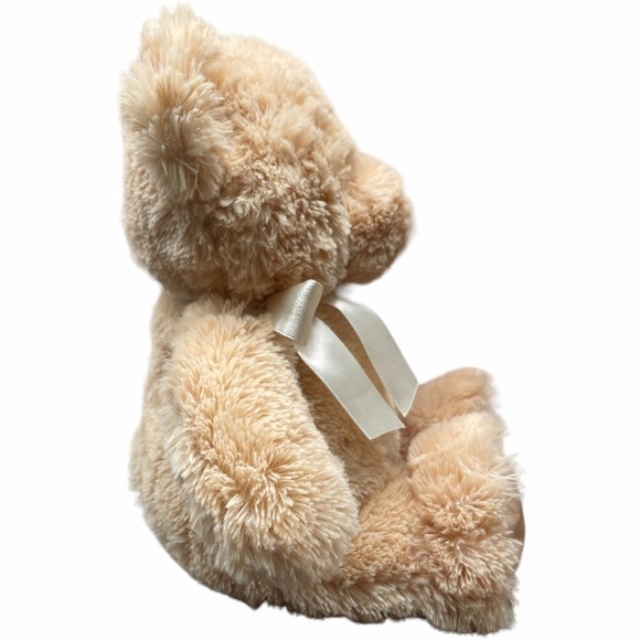Gund My First Teddy Plush Stuffed Animal Baby Soft Cuddle Buddy Tan 10 inch - Picture 6 of 13